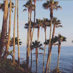 Meet your Posher, Karla